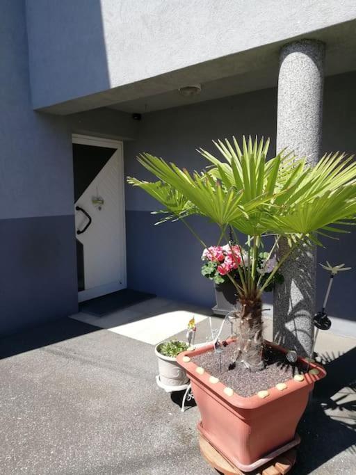 Appartement Agreable Агно Екстериор снимка